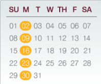 Flexible infusion schedule chart