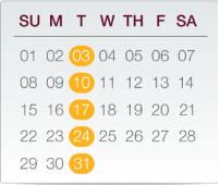 Flexible infusion schedule chart